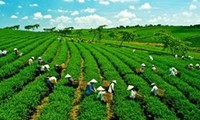 Vietnam, Laos and Cambodia committed to green growth